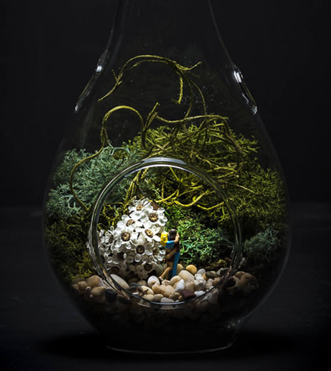 Terrarium