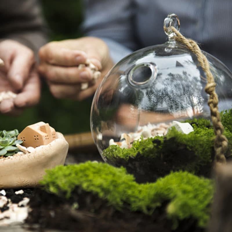 Terrarium
