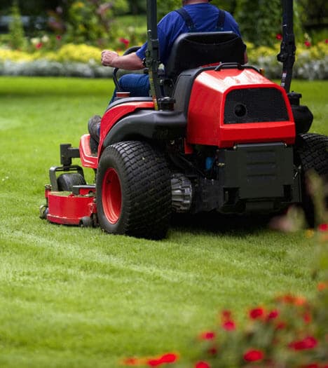 Periyodik Bahçe Bakımları